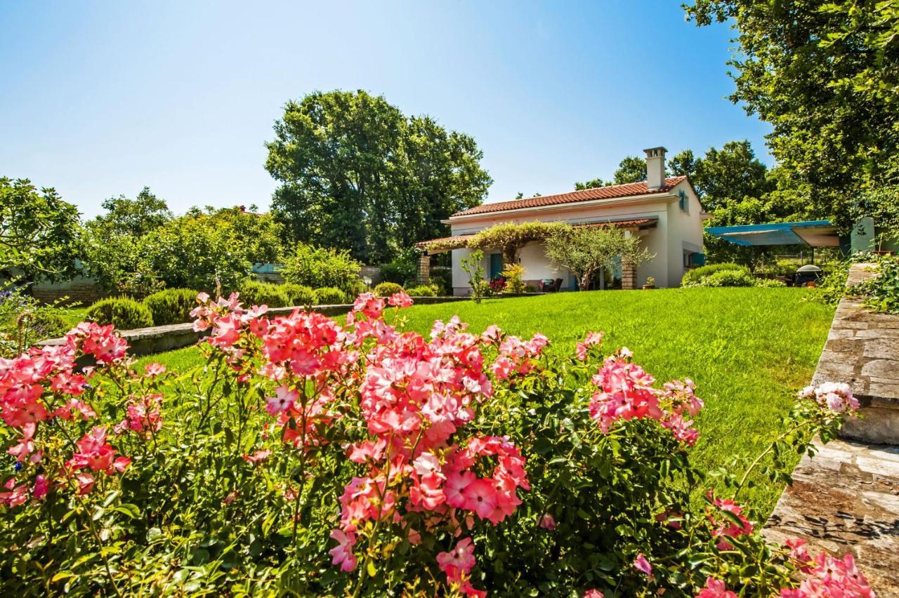 Villa Ferenc